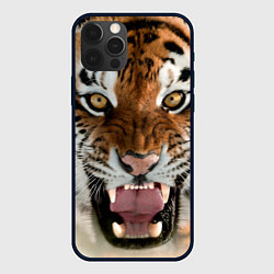 Чехол для iPhone 12 Pro Свирепый тигр, цвет: 3D-черный
