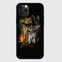 Чехол для iPhone 12 Pro Ведьмин котенок, цвет: 3D-черный