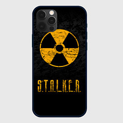 Чехол для iPhone 12 Pro STALKER: Radioactive, цвет: 3D-черный