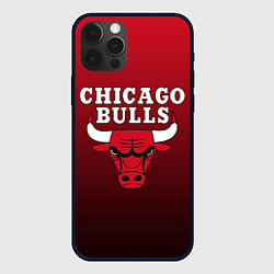 Чехол для iPhone 12 Pro CHICAGO BULLS, цвет: 3D-черный