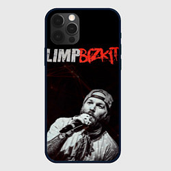Чехол для iPhone 12 Pro Limp Bizkit, цвет: 3D-черный