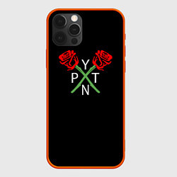 Чехол для iPhone 12 Pro ТИКТОКЕР - PAYTON MOORMEIE, цвет: 3D-красный