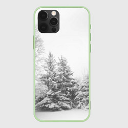 Чехол для iPhone 12 Pro Winter Storm, цвет: 3D-салатовый