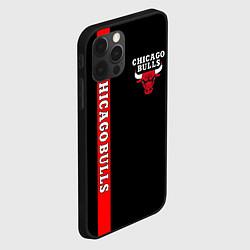 Чехол для iPhone 12 Pro CHICAGO BULLS, цвет: 3D-черный — фото 2