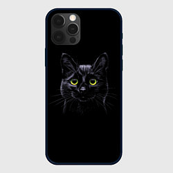 Чехол для iPhone 12 Pro Кот, цвет: 3D-черный