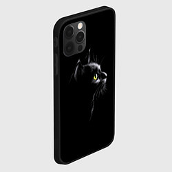 Чехол для iPhone 12 Pro Кошка, цвет: 3D-черный — фото 2