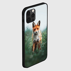 Чехол для iPhone 12 Pro Лисица в зелени, цвет: 3D-черный — фото 2