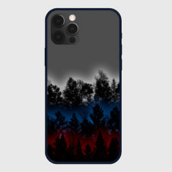 Чехол для iPhone 12 Pro Флаг из леса, цвет: 3D-черный