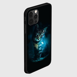Чехол для iPhone 12 Pro Красивый кот, цвет: 3D-черный — фото 2