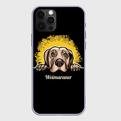Чехол для iPhone 12 Pro Веймаранер Weimaraner, цвет: 3D-светло-сиреневый