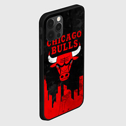 Чехол для iPhone 12 Pro Chicago Bulls, Чикаго Буллз Город, цвет: 3D-черный — фото 2