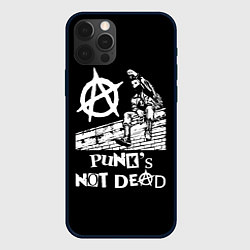 Чехол для iPhone 12 Pro Анархист Панк, цвет: 3D-черный