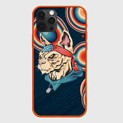 Чехол iPhone 12 Pro Кот-комикадзе