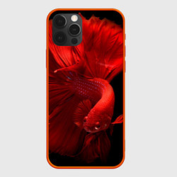 Чехол iPhone 12 Pro Бойцовская-рыбка