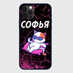 Чехол для iPhone 12 Pro Софья КОШЕЧКА Арт, цвет: 3D-черный