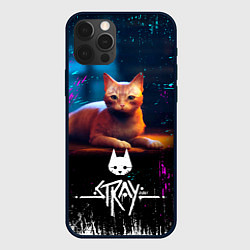 Чехол для iPhone 12 Pro Stray Cat: Бродячий Кот, цвет: 3D-черный
