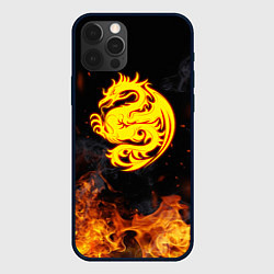 Чехол для iPhone 12 Pro Огнедышащий дракон и пламя, цвет: 3D-черный