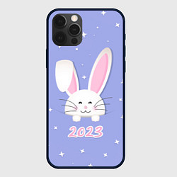 Чехол для iPhone 12 Pro Кролик - символ 2023 года, цвет: 3D-черный