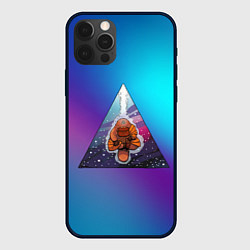 Чехол для iPhone 12 Pro Утконосий Дзен 3D, цвет: 3D-черный