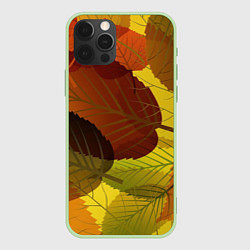 Чехол для iPhone 12 Pro Осенние крупные листья, цвет: 3D-салатовый