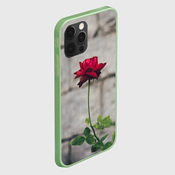 Чехол для iPhone 12 Pro Роза на фоне серой стены, цвет: 3D-салатовый — фото 2