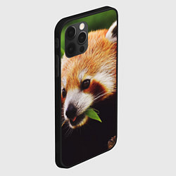 Чехол для iPhone 12 Pro Красная милая панда, цвет: 3D-черный — фото 2