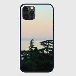 Чехол для iPhone 12 Pro Мягкий рассвет, цвет: 3D-черный