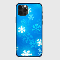 Чехол для iPhone 12 Pro Зима 2023, цвет: 3D-черный