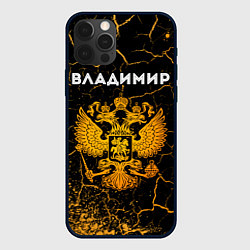 Чехол для iPhone 12 Pro Владимир и зологой герб РФ, цвет: 3D-черный