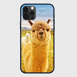 Чехол для iPhone 12 Pro Ламы - я и друг, найди меня, цвет: 3D-черный