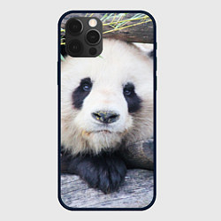Чехол для iPhone 12 Pro Панда отдыхает, цвет: 3D-черный