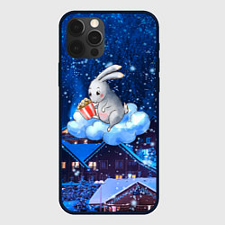 Чехол для iPhone 12 Pro Заяц на облаке, цвет: 3D-черный
