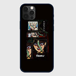 Чехол для iPhone 12 Pro Доктор Стоун аниме, цвет: 3D-черный
