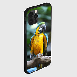 Чехол для iPhone 12 Pro Красавец попугай, цвет: 3D-черный — фото 2