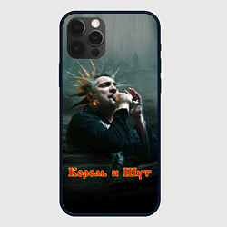 Чехол для iPhone 12 Pro Горшок с микрофоном КиШ, цвет: 3D-черный