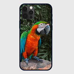 Чехол для iPhone 12 Pro Попугай Макао, цвет: 3D-черный