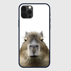 Чехол для iPhone 12 Pro Капибара пофигист, цвет: 3D-черный