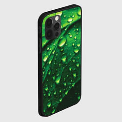 Чехол для iPhone 12 Pro Утренняя роса, цвет: 3D-черный — фото 2