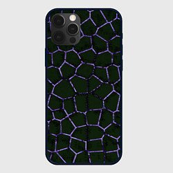 Чехол для iPhone 12 Pro Слабосветящаяся неоновая сетка, цвет: 3D-черный
