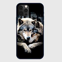Чехол для iPhone 12 Pro Волки - молодая семья, цвет: 3D-черный