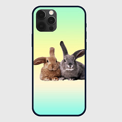 Чехол для iPhone 12 Pro Два пушистых кролика, цвет: 3D-черный