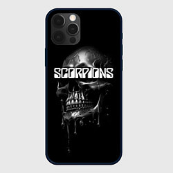 Чехол iPhone 12 Pro Scorpions rock