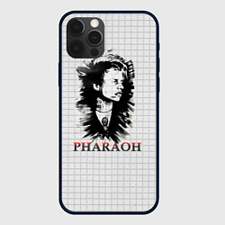 Чехол для iPhone 12 Pro Портрет фараона, цвет: 3D-черный