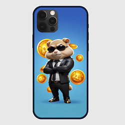 Чехол для iPhone 12 Pro Hamster kombat master, цвет: 3D-черный