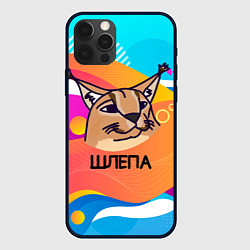 Чехол для iPhone 12 Pro Нарисованный кот Шлепа pop art, цвет: 3D-черный