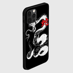 Чехол для iPhone 12 Pro Змея - китайский гороскоп, цвет: 3D-черный — фото 2