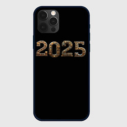 Чехол для iPhone 12 Pro Металическая надпись 2025 год в стиле стимпанк, цвет: 3D-черный