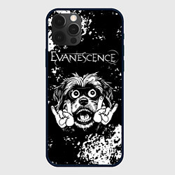 Чехол для iPhone 12 Pro Evanescence рок пес, цвет: 3D-черный