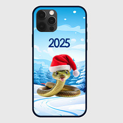 Чехол для iPhone 12 Pro Змейка в новогодней шапке 2025, цвет: 3D-черный