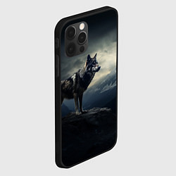 Чехол для iPhone 12 Pro Волк на горе, цвет: 3D-черный — фото 2